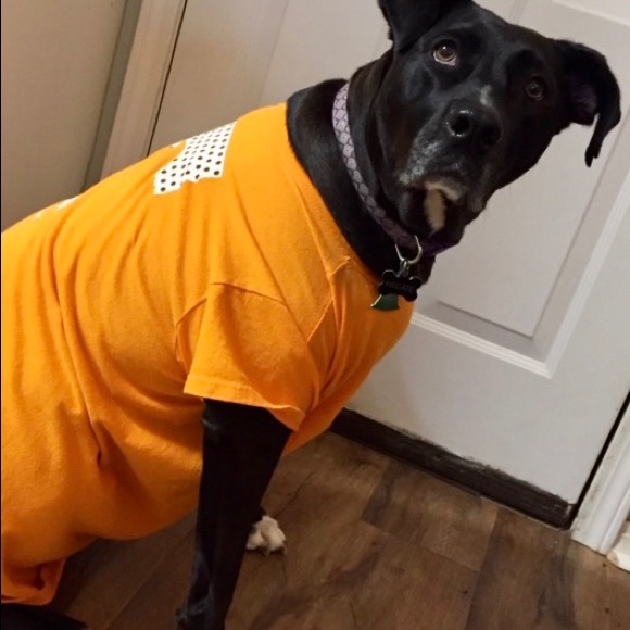 Meet your Posher, Erin & Hecate - Picture 16 of 16